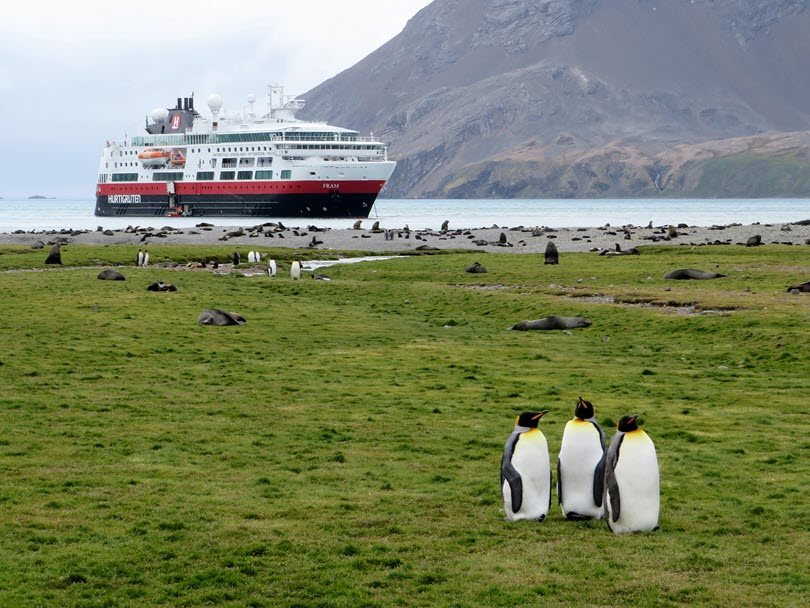 An expedition ship anchored off a sub-Antarctic shore with king penguins and seals on the grass