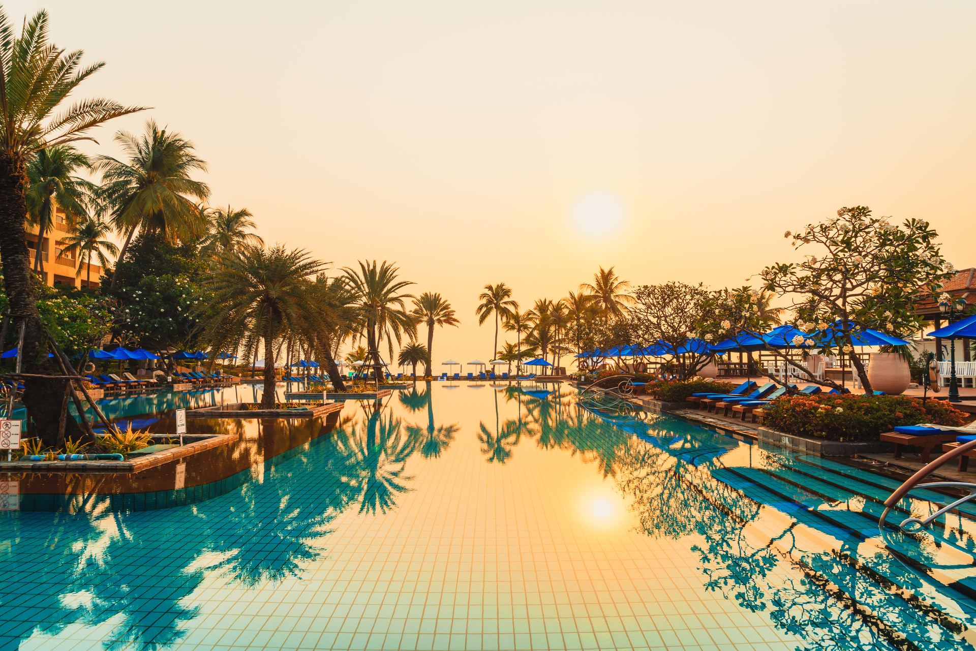 Palm trees, loungers, and a pool at an all-inclusive resort